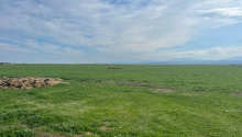 300 sot Torpaq, Satış, Bakı, Sabunçu