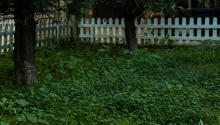 5 otaqlı Bağ evləri, Satış, Bakı, Xəzər, Koroğlu