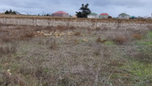 7 sot Torpaq, Satış, Bakı, Xəzər, Koroğlu