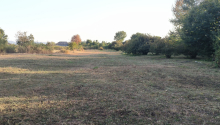 21 sot Torpaq, Satış, Qəbələ