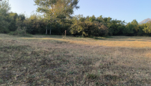 21 sot Torpaq, Satış, Qəbələ