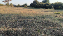 21 sot Torpaq, Satış, Qəbələ