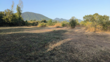 21 sot Torpaq, Satış, Qəbələ
