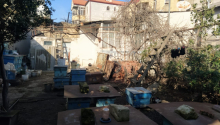6 sot Torpaq, Satış, Bakı, Sabunçu