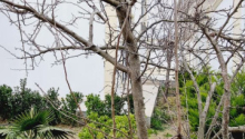 4 otaqlı Bağ evləri, Satış, Bakı, Xəzər, Koroğlu