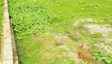 10 sot Torpaq, Satış, Bakı, Sabunçu