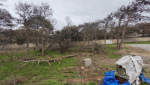38 sot Torpaq, Satış, Bakı, Nərimanov, Gənclik