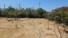26 sot Torpaq, Satış, Bakı, Xəzər