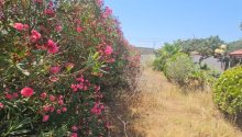 26 sot Torpaq, Satış, Bakı, Xəzər
