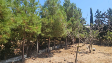 26 sot Torpaq, Satış, Bakı, Xəzər