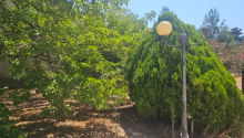 26 sot Torpaq, Satış, Bakı, Xəzər