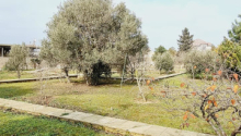 25 sot Torpaq, Satış, Bakı, Xəzər, Koroğlu