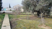 25 sot Torpaq, Satış, Bakı, Xəzər, Koroğlu