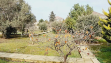 25 sot Torpaq, Satış, Bakı, Xəzər, Koroğlu