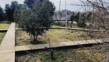 25 sot Torpaq, Satış, Bakı, Xəzər, Koroğlu