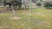 25 sot Torpaq, Satış, Bakı, Xəzər, Koroğlu