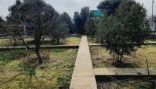 2500 m2 Torpaq, Satış, Bakı, Xəzər, Koroğlu
