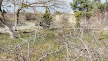 2500 m2 Torpaq, Satış, Bakı, Xəzər, Koroğlu