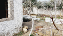 7 sot Torpaq, Satış, Bakı, Xəzər, Koroğlu
