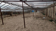 12 sot Torpaq, Satış, Bakı, Xəzər