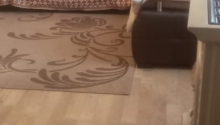 2 otaqlı Villa / Həyət evi, Kirayə (aylıq), Xırdalan