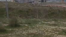 2 hektar Torpaq, Satış, Abşeron