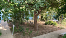 3 otaqlı Bağ evləri, Satış, Bakı, Xəzər