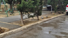 3 otaqlı Köhnə tikili, Satış, Bakı, Səbail