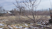 20 sot Torpaq, Satış, Qusar