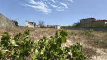 24 sot Torpaq, Satış, Bakı, Xəzər