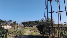 46 sot Torpaq, Satış, Bakı, Xəzər, Koroğlu