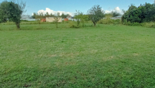 20 sot Torpaq, Satış, Zaqatala
