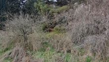 9 sot Torpaq, Satış, Bakı, Səbail