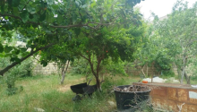 3 otaqlı Villa / Həyət evi, Satış, Bakı, Sabunçu, Koroğlu