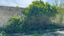 11 sot Torpaq, Satış, Bakı, Xəzər, Koroğlu