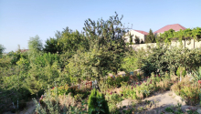 10 m2 Torpaq, Satış, Abşeron