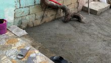 2 otaqlı Villa / Həyət evi, Kirayə (aylıq), Xırdalan