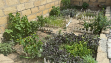 5 otaqlı Villa / Həyət evi, Satış, Bakı, Yasamal