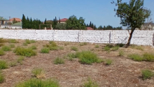 11 sot Torpaq, Satış, Bakı, Xəzər, Koroğlu