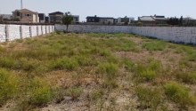 11 sot Torpaq, Satış, Bakı, Xəzər, Koroğlu