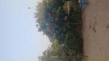 4 sot Torpaq, Satış, Bakı, Sabunçu