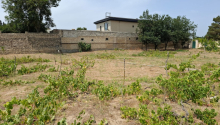 1500 m2 Torpaq, Satış, Bakı, Xəzər, Koroğlu