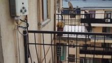 1 otaqlı Yeni tikili, Kirayə (aylıq), Xırdalan