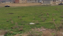 40 sot Torpaq, Satış, Abşeron