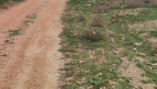 40 sot Torpaq, Satış, Abşeron