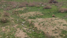 40 sot Torpaq, Satış, Abşeron