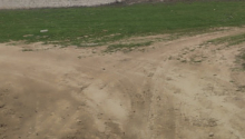 40 sot Torpaq, Satış, Abşeron