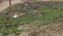 40 sot Torpaq, Satış, Abşeron