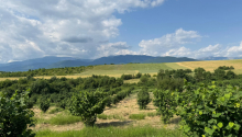 2000 sot Torpaq, Satış, İsmayıllı