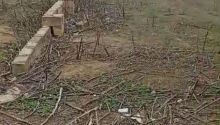 5 sot Torpaq, Satış, Abşeron